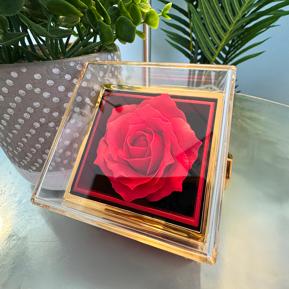I'm Sorry Gifts For Her - Love Knot with Rotating Rose Gift Box